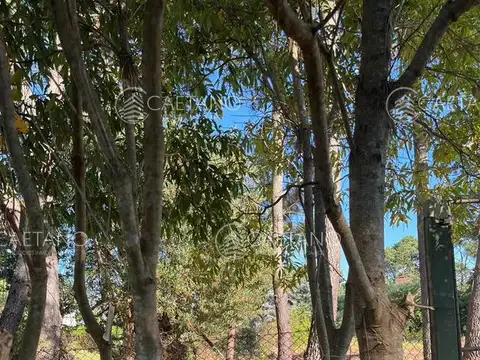 Terreno en Venta en Lugano, USD 185.000