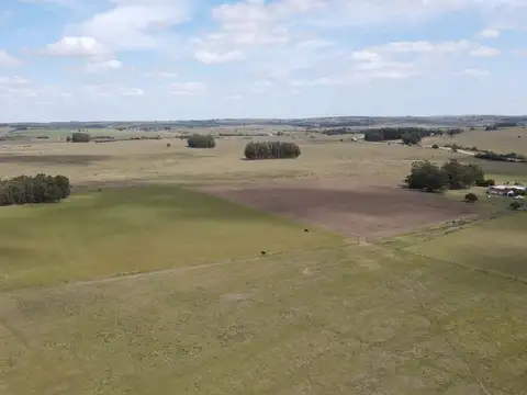 Chacra con casa a 1,5 km de Garzón y a 70 km de Punta del Es