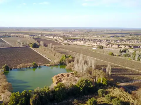 Campo en Venta de 92  ha