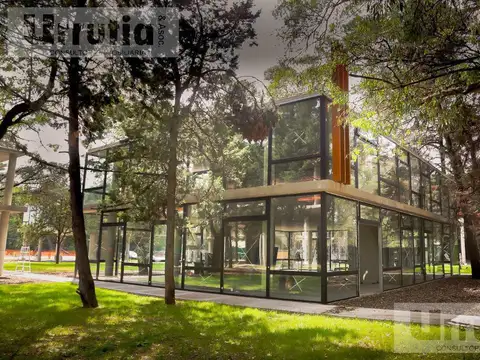 Martin Fierro, Thays