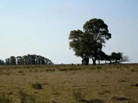 Por camino vecinal paralelo y al Sur de Ruta 9
