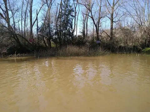 LOTE EN DELTA DE TIGRE PRIMERA SECCIÓN