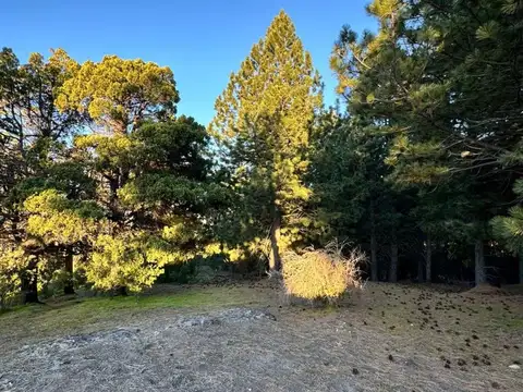 Terreno en Venta de 1635,0 m2