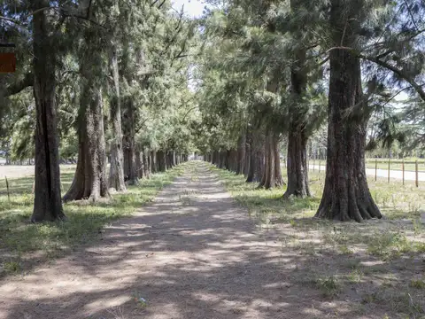 Lotes en Venta Financiado en Monte Grande