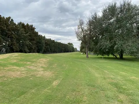 Terreno en Venta de 1200,0 m2