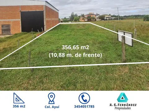 TERRENO EN VENTA ZONA COLONIA AYUI