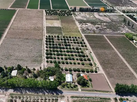 14 Has. Finca en Fray Luis Beltrán