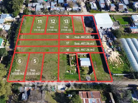 Los Ceibos y Colombia