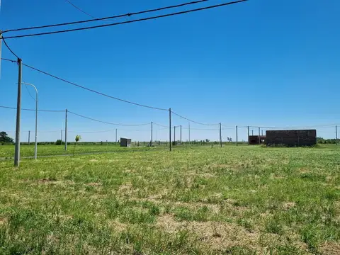 Esq Dr. Illia y Victor Cochet