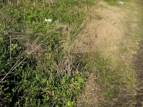 Terreno en Venta 13  mts Frente