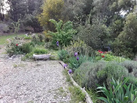 Terreno en Venta de 13000,0 m2