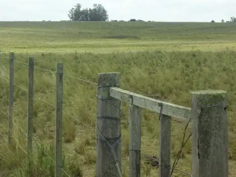 Campo en Venta de 9.500  ha