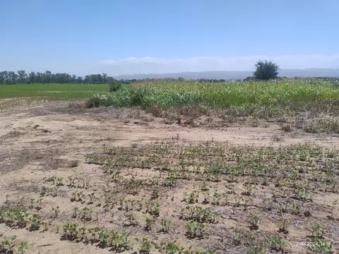 Campo en Venta de 20  ha