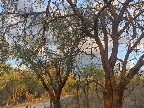 Terreno en Venta de 5700,0 m2