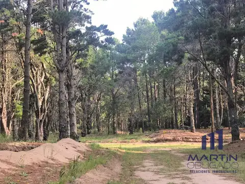 Terreno en Venta en Costa Del Este, USD 75.000