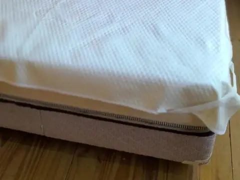 Las Rosas y Las Camelias