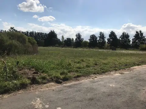 Terreno en Venta de 1009,0 m2