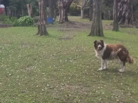 Casa Quinta  en Venta en Pilar, G.B.A. Zona Norte, Argentina