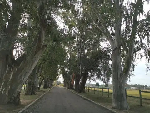 Terreno en Venta de 1024,0 m2