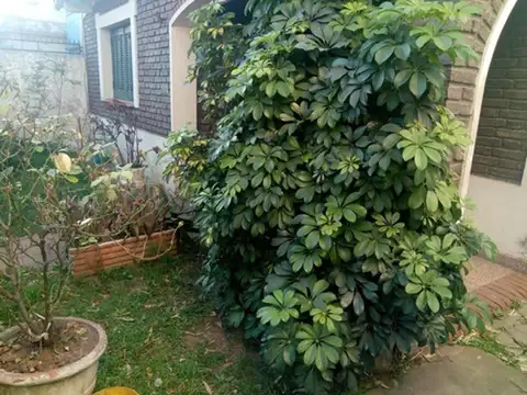 Diputado Hector Finochietto 1527, Hurlingham, Provincia De Buenos Aires, Argentina