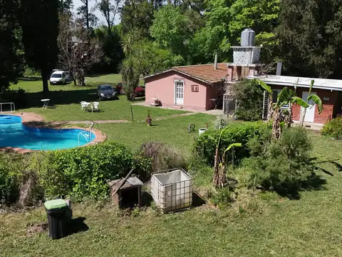 Luis Maria Drago al 2000