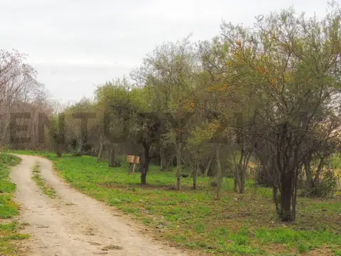 Terreno en Venta en Villa Constitucion, USD 18.000