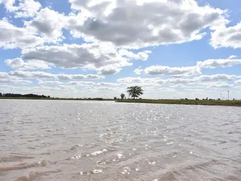 Terreno en Venta de 600,0 m2