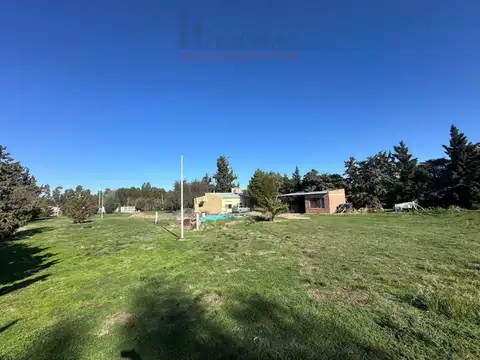 Francisca Hernandez 300