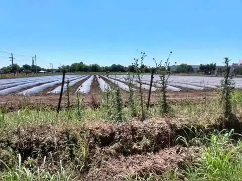 3,5 Hectareas en Venta en Villa Retiro C. del Riego.