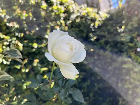 Tu primer casa en RAMOS MEJIA