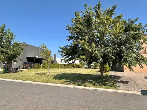 Terreno en Venta de 470,0 m2