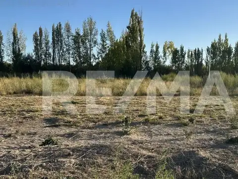 VENTA LOTES 8 Y 9 LAS ESCULTURAS - ALLEN