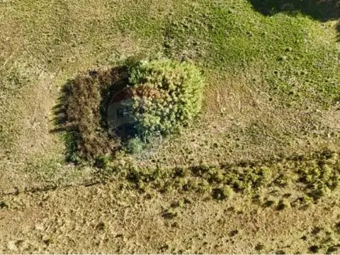 CHACRA, PREDIO RURAL 3 has, Ruta 7, San Jacinto.