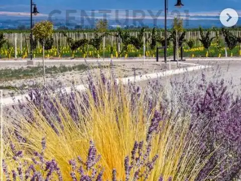 LOTE EN VENTA - BARRIO TUPUNGATO VALLEY