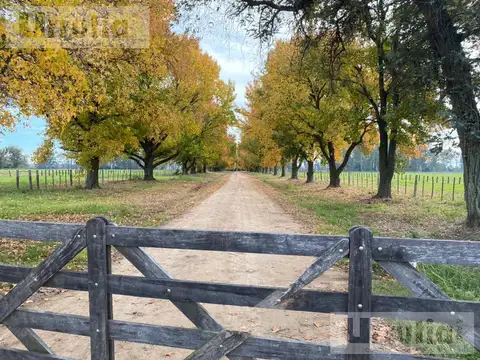 CAMPO de 146 hectareas  IDEAL DESARROLLO URBANISTICO