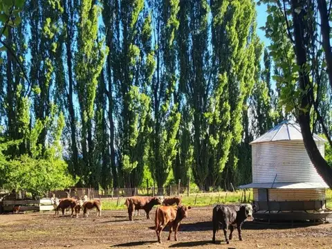 Lago Puelo El Bolson Chubut