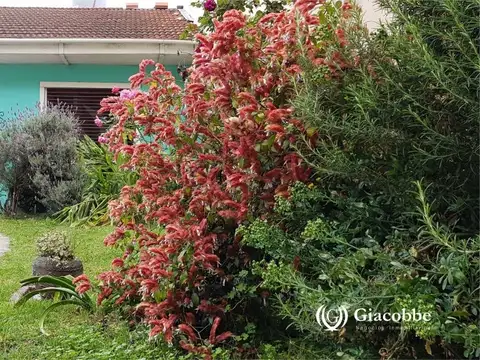 Casa en Luis Guillon venta