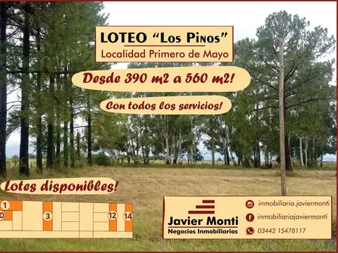 LOTEO LOS PINOS
