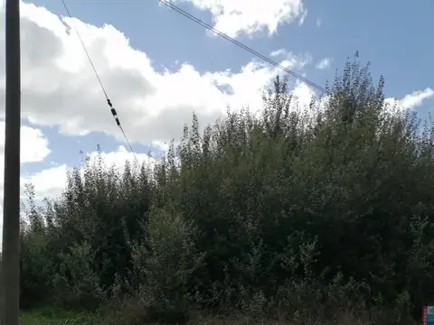 Terreno en venta - 555Mts2 - Costa del Este