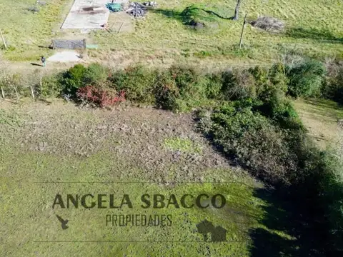 Tala, Parque Jularo.