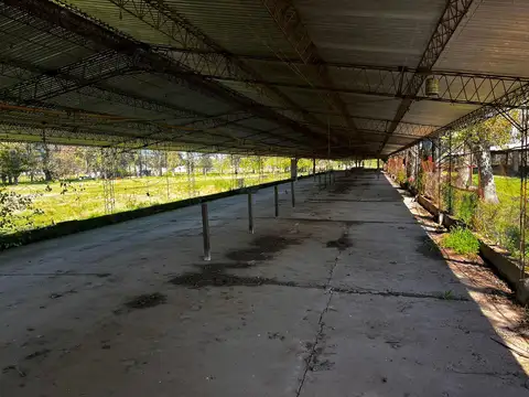 Terreno en Alquiler 125  mts Frente