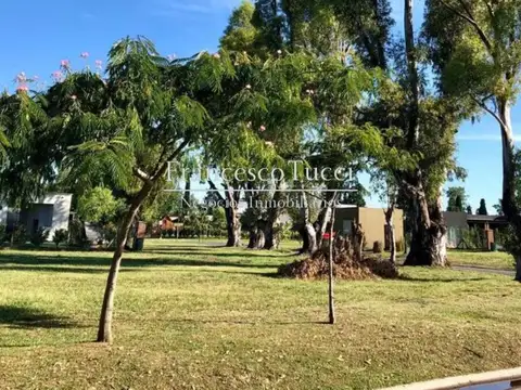 Terreno en Venta de 555,0 m2