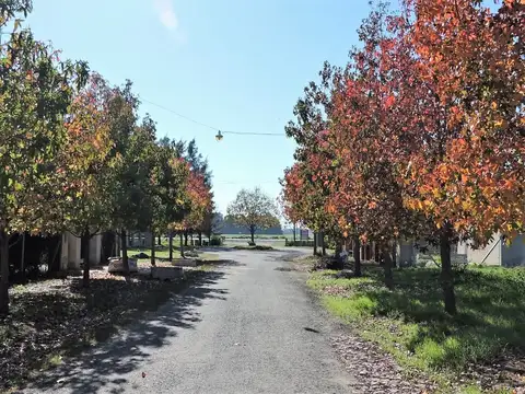 Casa en Los Tilos. EXCELENTE CASA CON PILETA