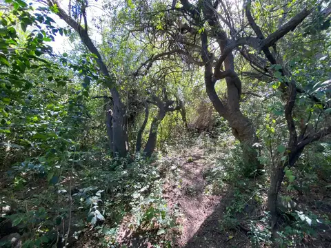 Terreno en Venta en Yacanto, USD 100.000