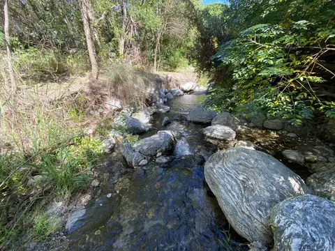 Terreno en Venta de 9992,0 m2