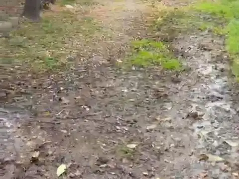 TERRENO EN VENTA, Zona Exclusiva CHACRAS DE CORIA