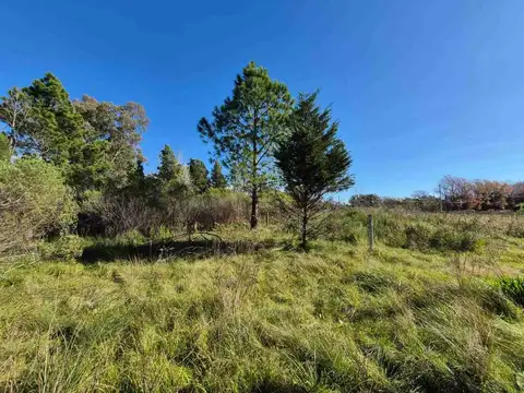 Terreno en Venta en Villa Rosa, USD 125.000