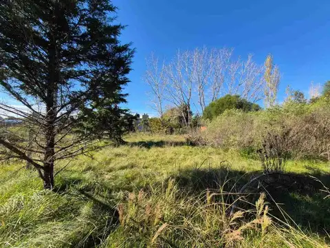 LOTE TERRENO VENTA PILAR CAAMAÑO