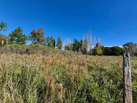LOTE TERRENO VENTA PILAR CAAMAÑO