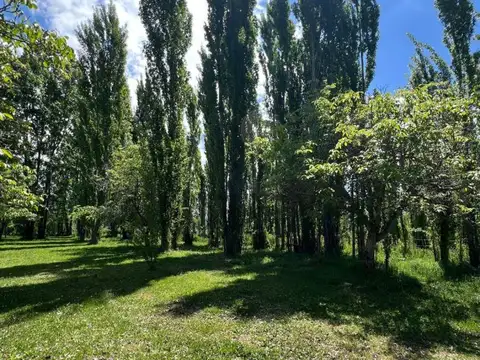 Campo en Venta de 8,05  ha